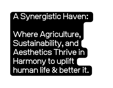 A Synergistic Haven Where Agriculture Sustainability and Aesthetics Thrive in Harmony to uplift human life better it