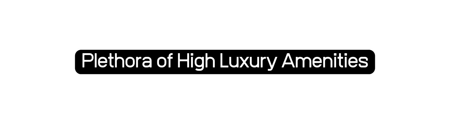 Plethora of High Luxury Amenities